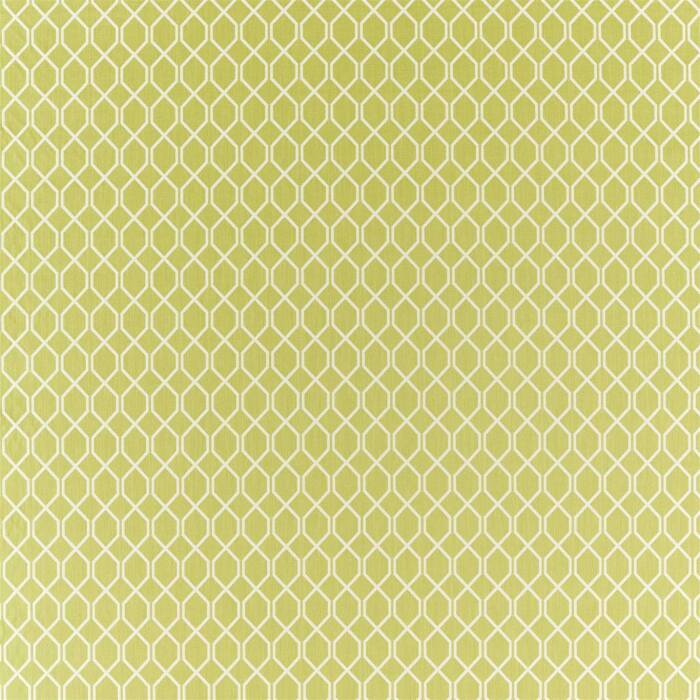 Botanical Trellis Lime Fabric by Sanderson