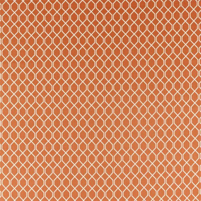 Botanical Trellis Papaya Fabric by Sanderson