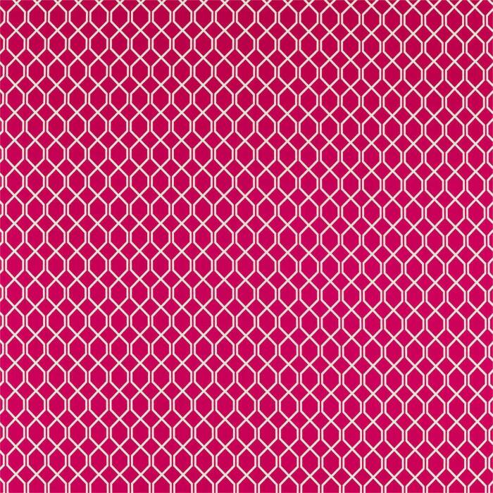 Botanical Trellis Rhodera Fabric by Sanderson