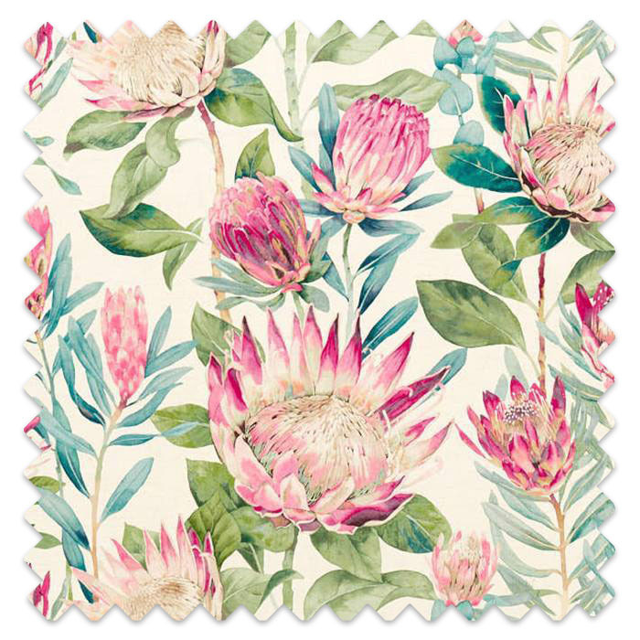 Swatch of King Protea Rhodera