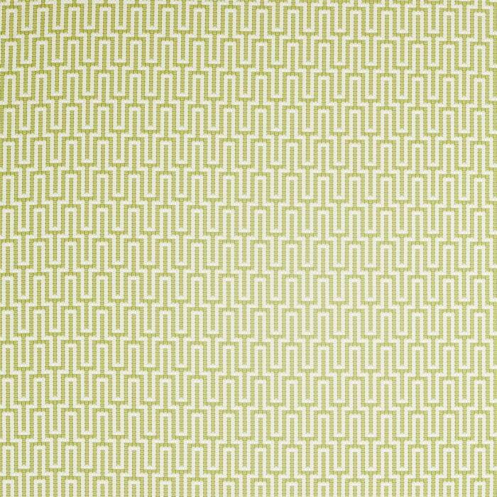 Linnean Lime Fabric by Sanderson