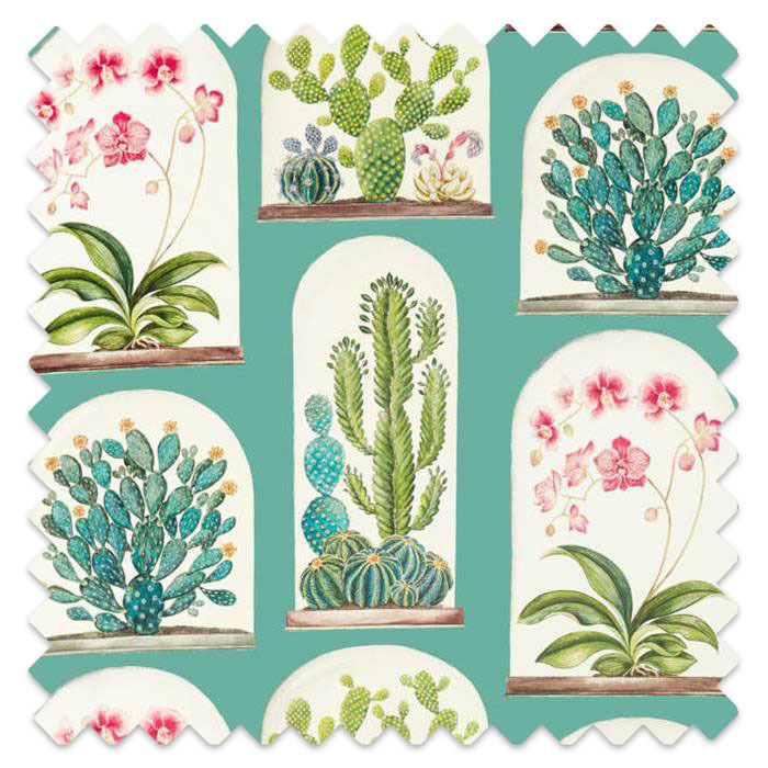 Swatch of Terrariums Eucalyptus/Bengal