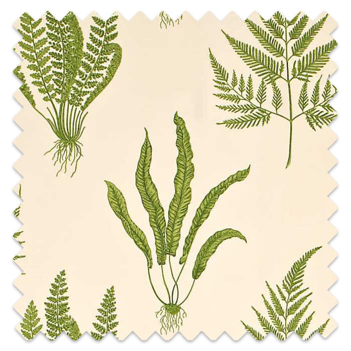 Swatch of Woodland Ferns Green