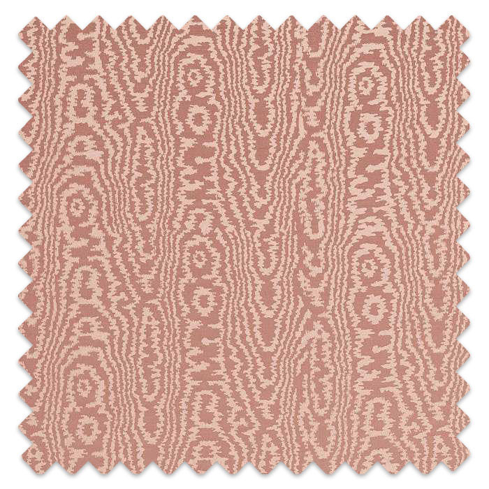 Swatch of Elsworthy Rose