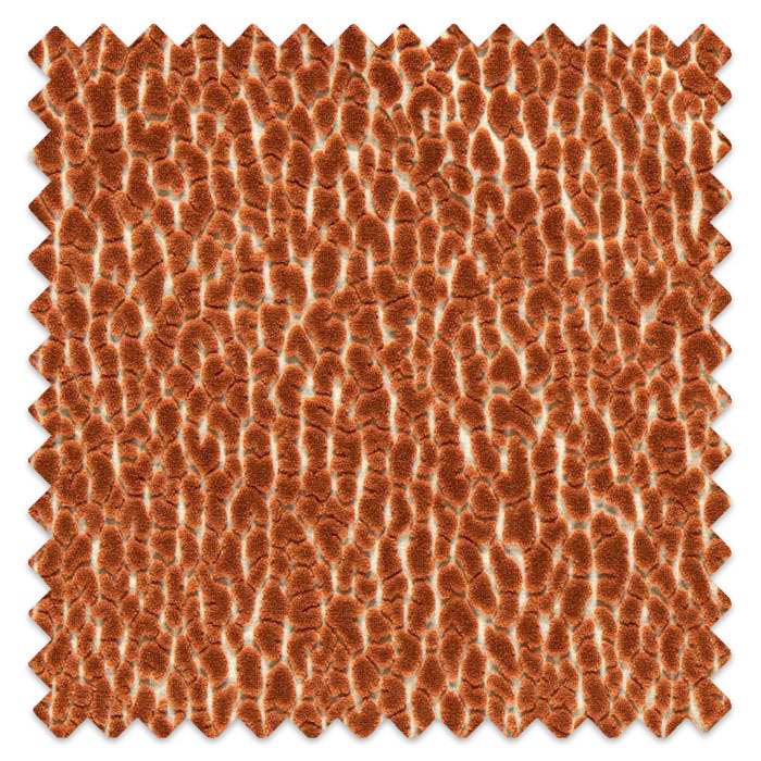 Swatch of Lacuna Tiger