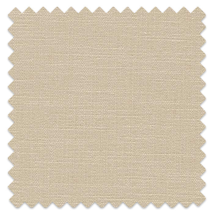 Swatch of Mineral Champagne