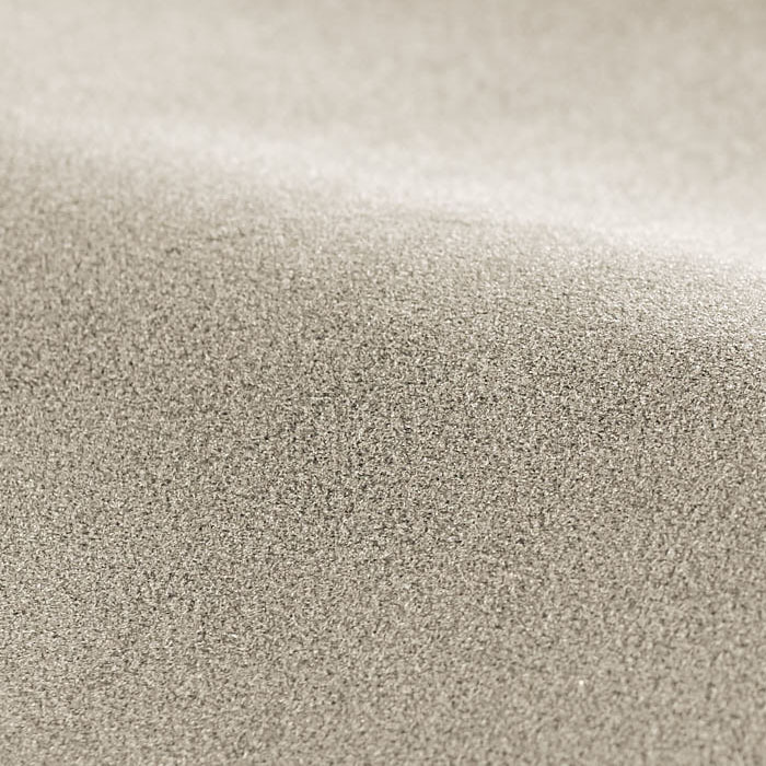 Performance Velvet Oyster Fabric by Harlequin