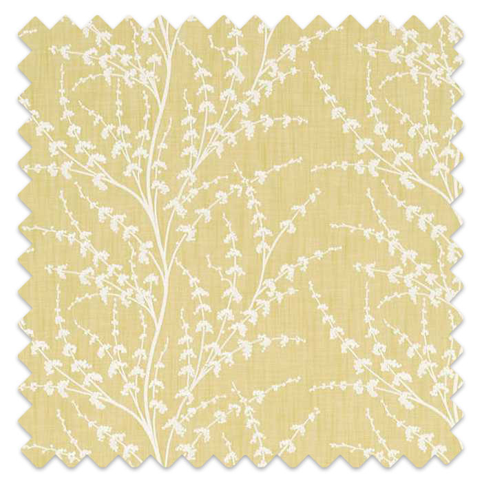 Swatch of Armeria Trail Lichen