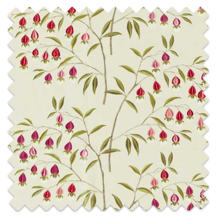 Swatch of Chinese Lantern Wild Plum