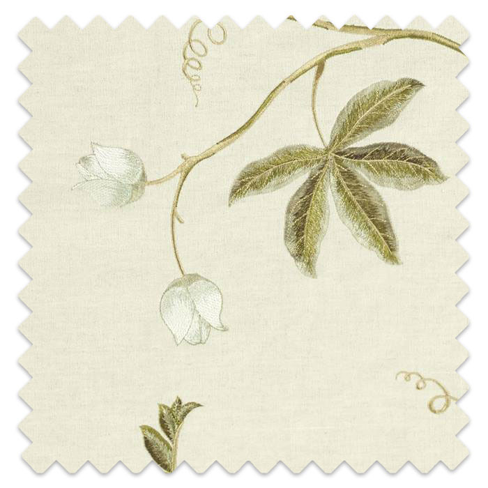 Swatch of Passion Vine Sage