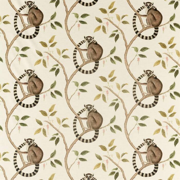 Ringtailed Lemur Olive Fabric by Sanderson
