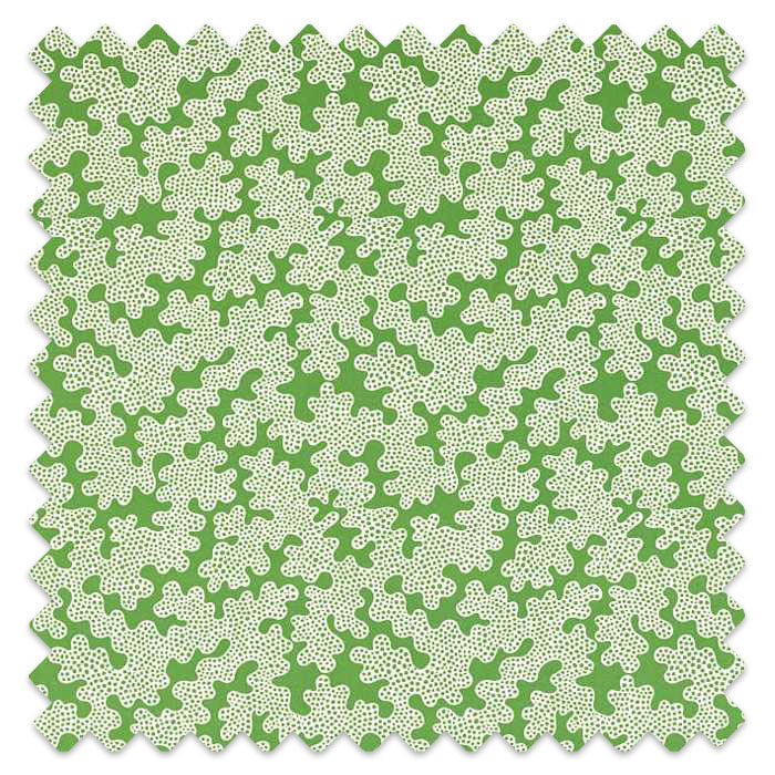 Swatch of Zori Forest/First Light