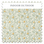 Swatch of Ancient Apple Orchard Golden Knot And Sage