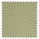 Swatch of Billy Cucumber Swatch of Billy Cucumber