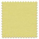 Swatch of Boutique Lime