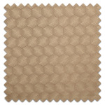 Swatch of Caza Desert Swatch of Caza Desert