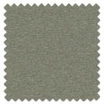 Swatch of Dawson Grass