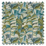 Swatch of Grand Baie Rainforest