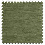 Swatch of Java Fern Swatch of Java Fern