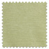 Swatch of Java Fennel