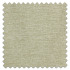 Swatch of Java Palm