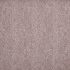 Pluma Desert Fabric by Prestigious Textiles