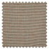 Swatch of Rainier Cactus