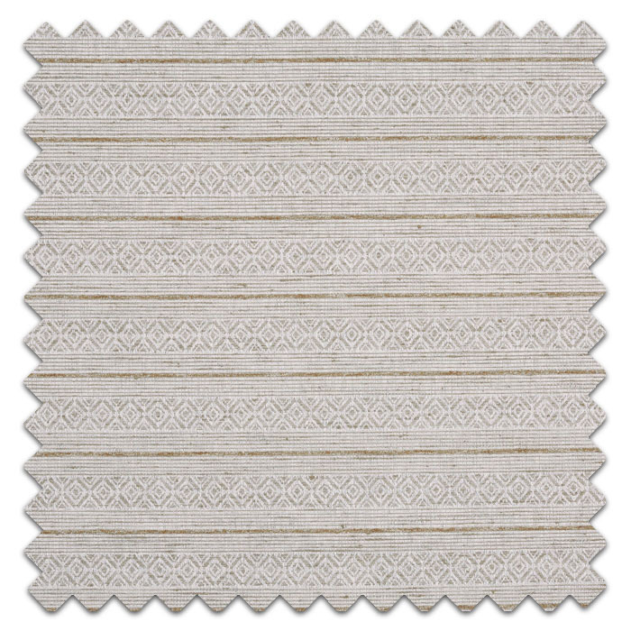Swatch of Andes Desert