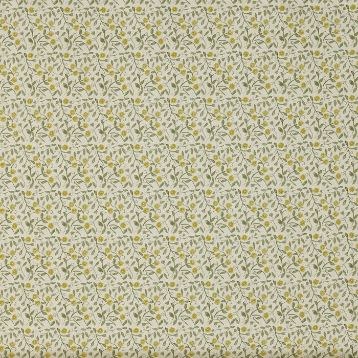 Barbara Cucumber Fabric by Prestigious Textiles