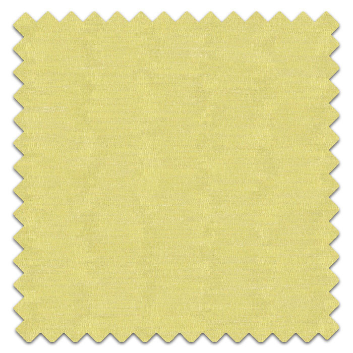 Swatch of Boutique Lime