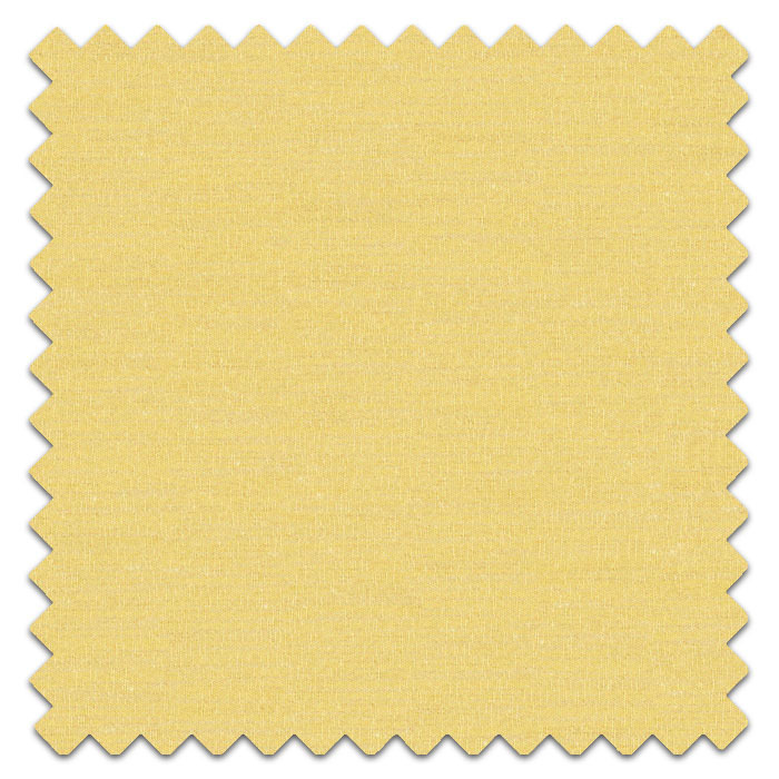 Swatch of Boutique Mimosa