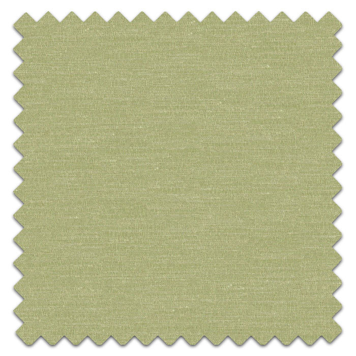 Swatch of Boutique Pistachio
