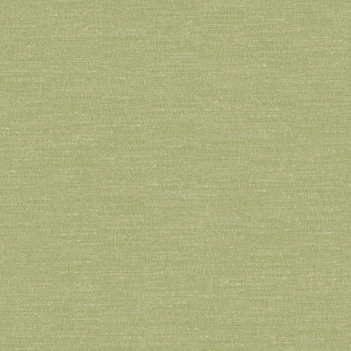 Boutique Pistachio Fabric by Prestigious Textiles
