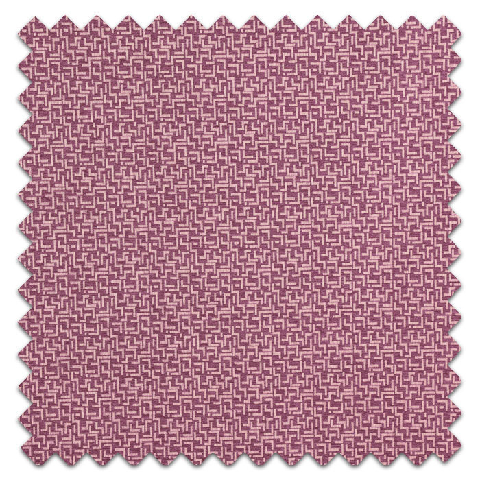 Swatch of Brixton Iris
