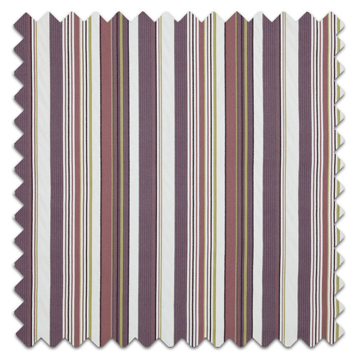 Swatch of Chiara Fig
