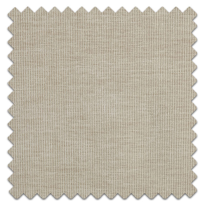 Swatch of Cord Mushroom
