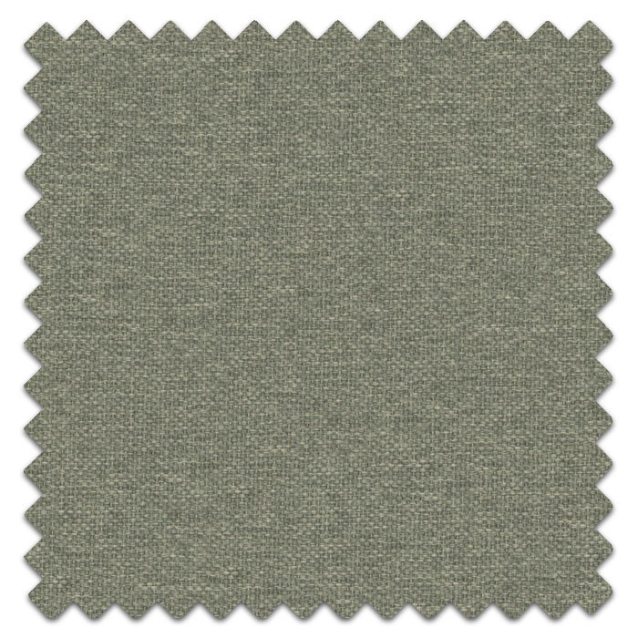 Swatch of Dawson Grass