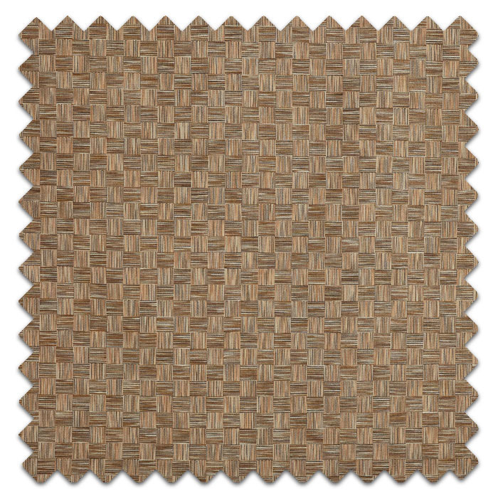Swatch of Habitat Desert