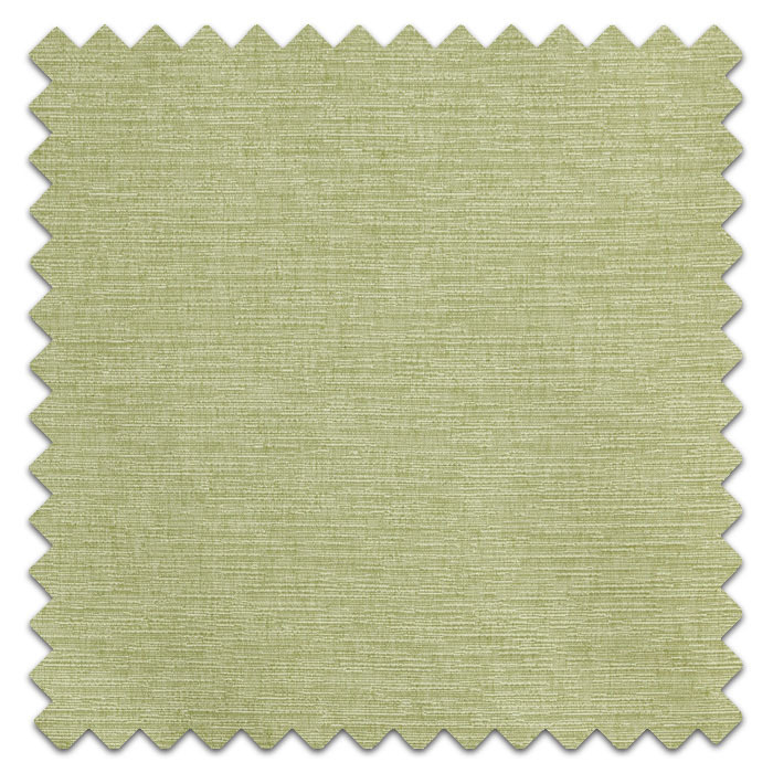 Swatch of Java Fennel