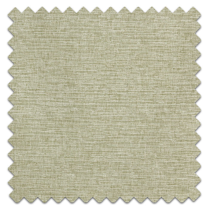 Swatch of Java Palm