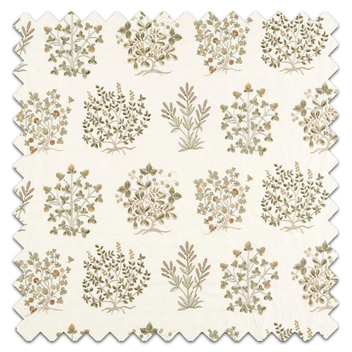 Swatch of Thyme Walk Lichen Gooseberry