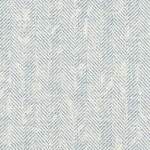 Ashmore Denim Fabric