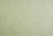 Wick Apple Fabric Flat Image