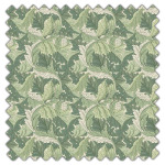 Swatch of Acanthus Apple Sage