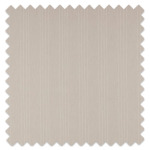 Swatch of Cape Ecru by Ashley Wilde