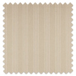 Swatch of Cape Sand by Ashley Wilde