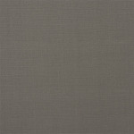 Swatch of Carrera Dove by Porter And Stone