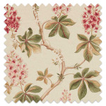 Swatch of Chestnut Tree Coral/Bayleaf