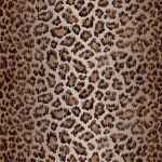 Made To Measure Roman Blinds Leopard Panthera Flat Image