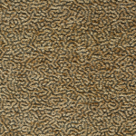 Otto Harvest Fabric Flat Image